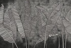 9600901 Silver Random Metallics Mural by Coordonné