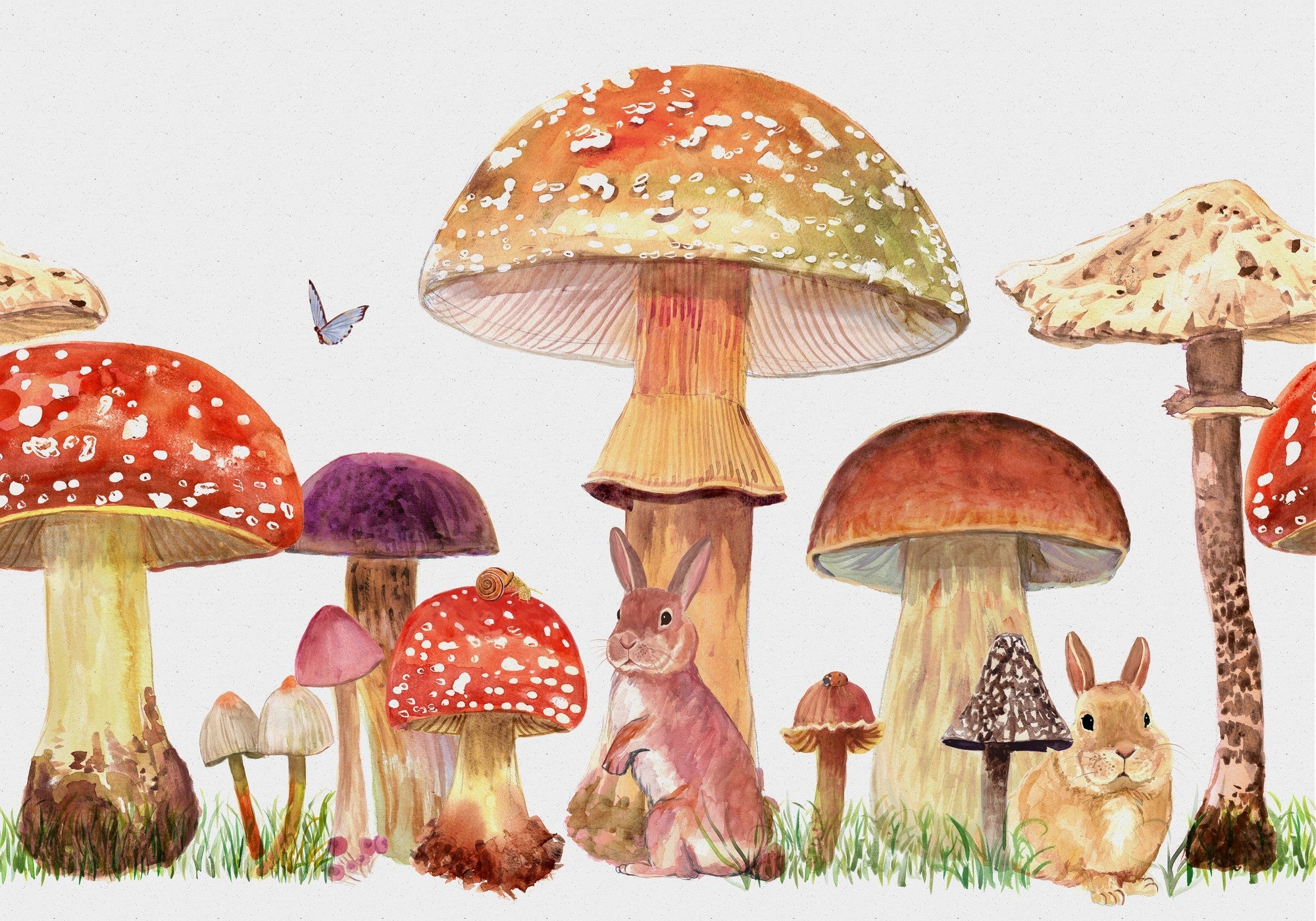 9700010 Sweet Forest Vermilion Random Kids Mural by Coordonné