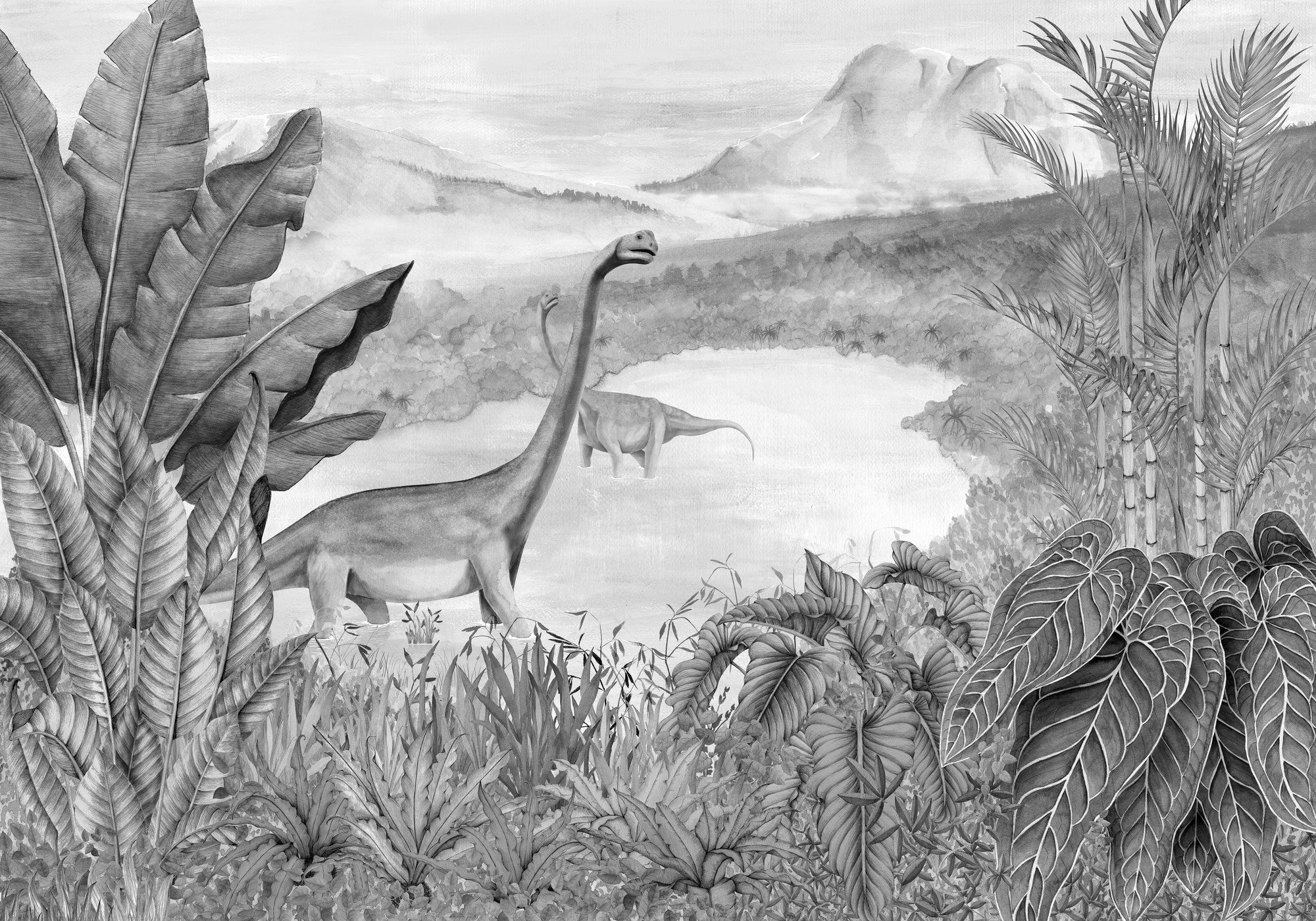 9700042 Dinosaurs Park Ash Random Kids Mural by Coordonné