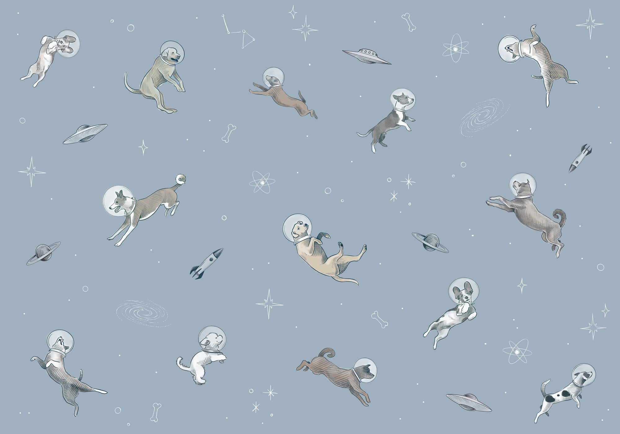 9700080 Doggy Gravity Sky Random Kids Mural by Coordonné