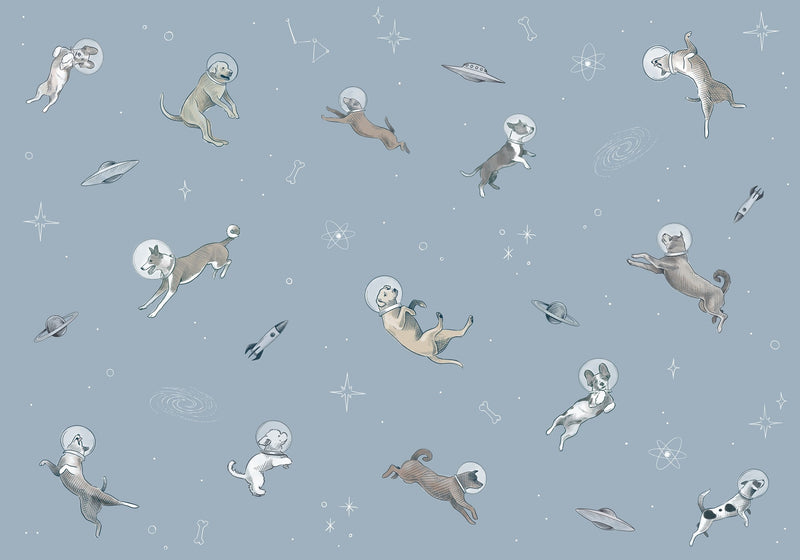 9700080 Doggy Gravity Sky Random Kids Mural by Coordonné
