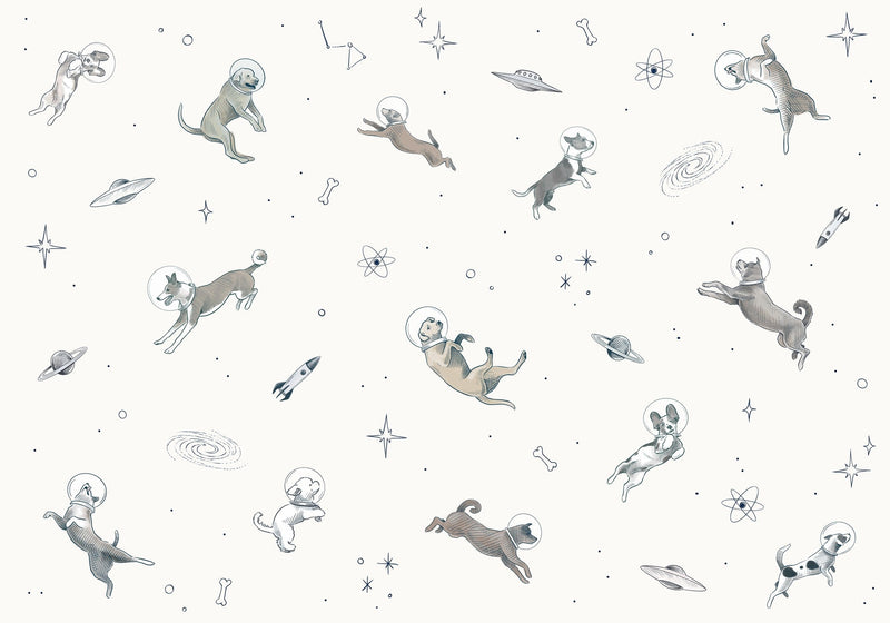 9700081 Doggy Gravity Light Random Kids Mural by Coordonné