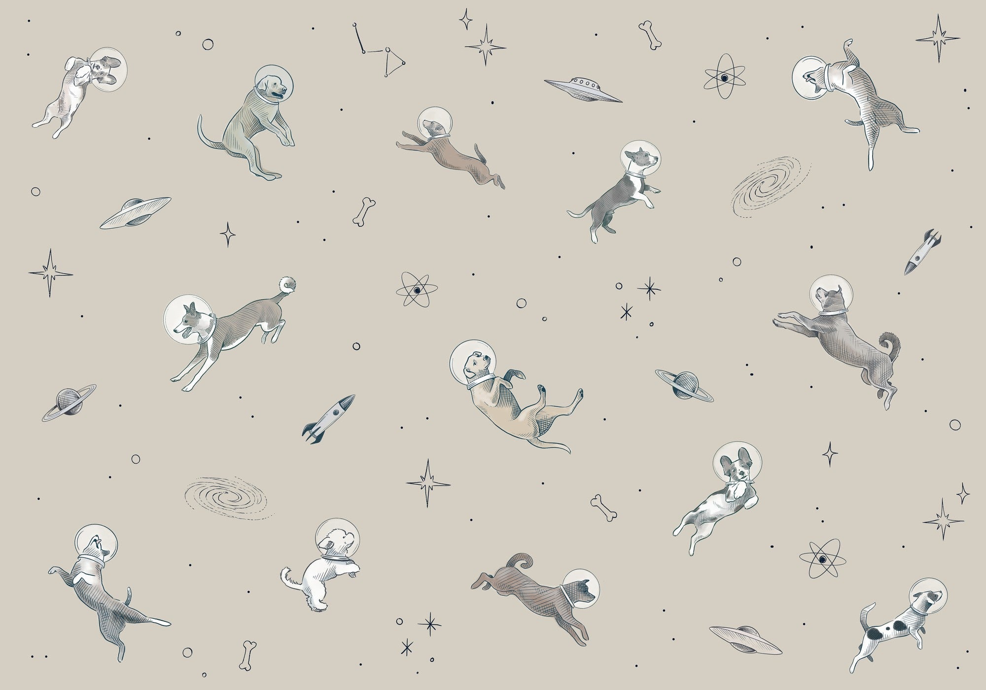 9700082 Doggy Gravity Cream Random Kids Mural by Coordonné