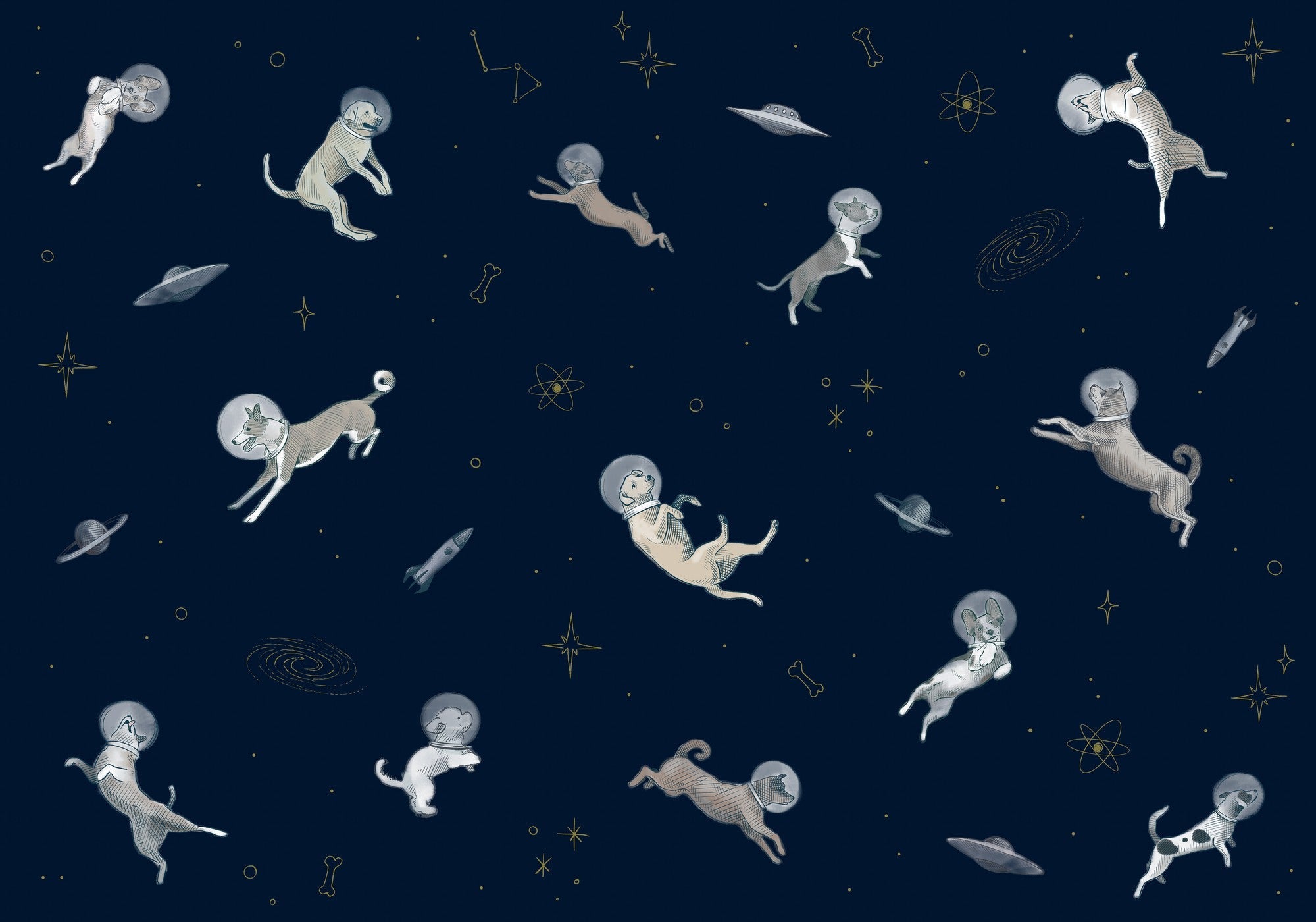 9700083 Doggy Gravity Night Random Kids Mural by Coordonné