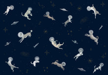 9700083 Doggy Gravity Night Random Kids Mural by Coordonné