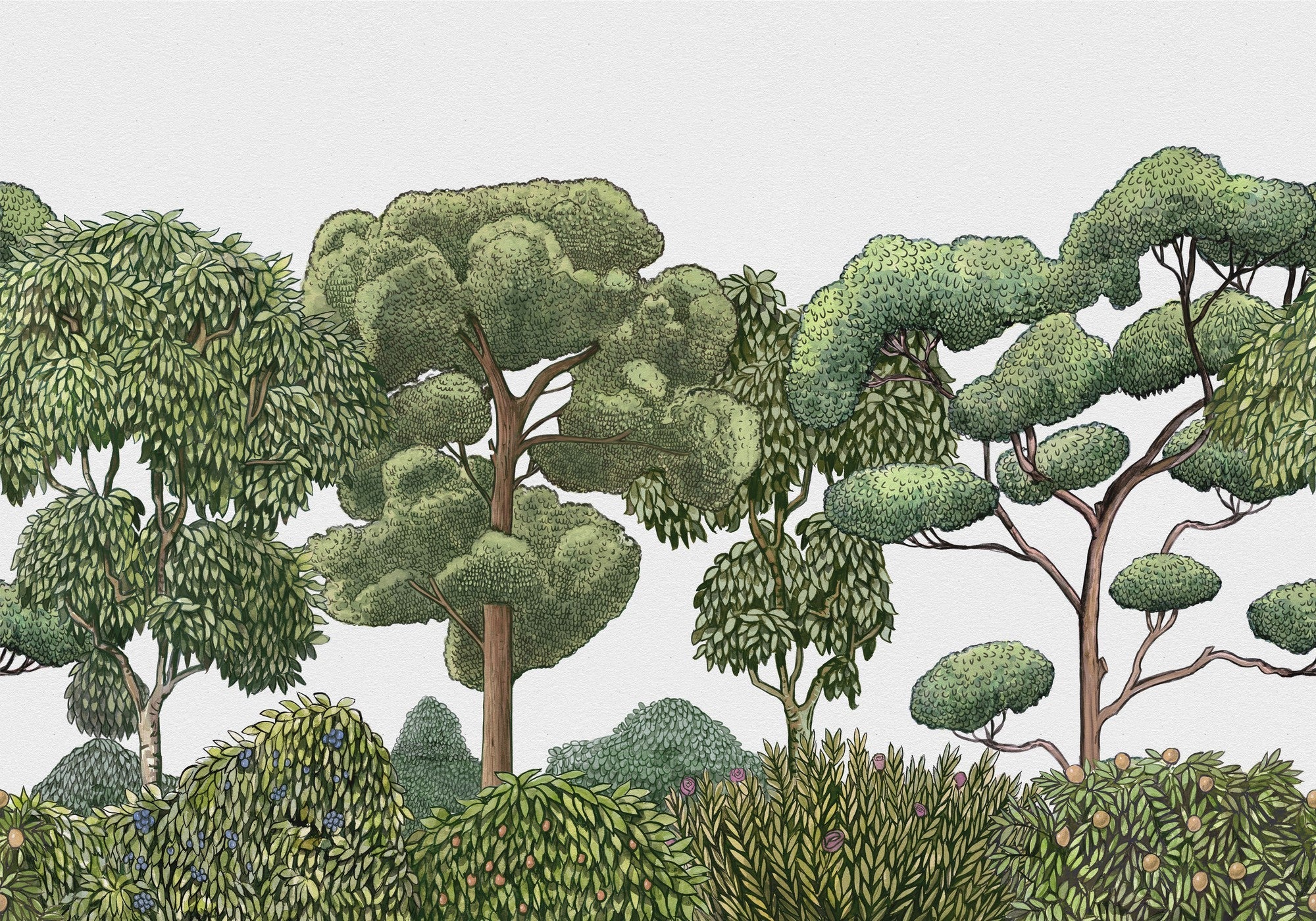 9700090 Green Forest Natural Random Kids Mural by Coordonné