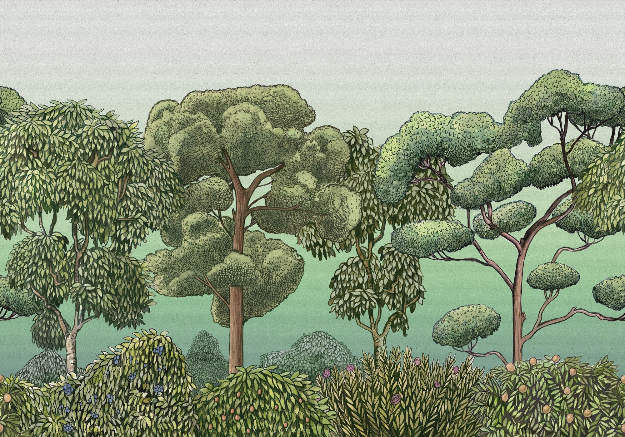 9700092 Green Forest Dew Random Kids Mural by Coordonné