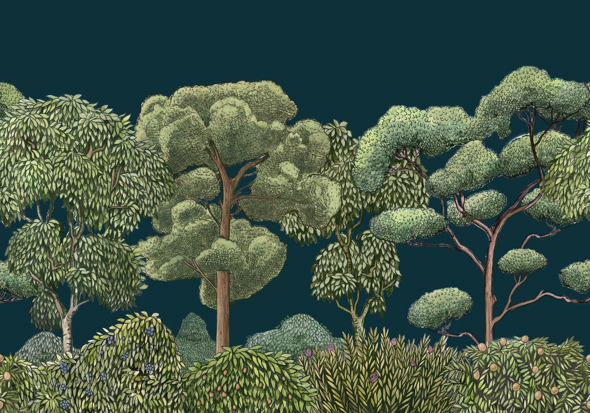 9700093 Green Forest Midnight Random Kids Mural by Coordonné