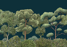 9700093 Green Forest Midnight Random Kids Mural by Coordonné