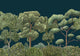 Green Forest Midnight Random Kids Mural by Coordonné