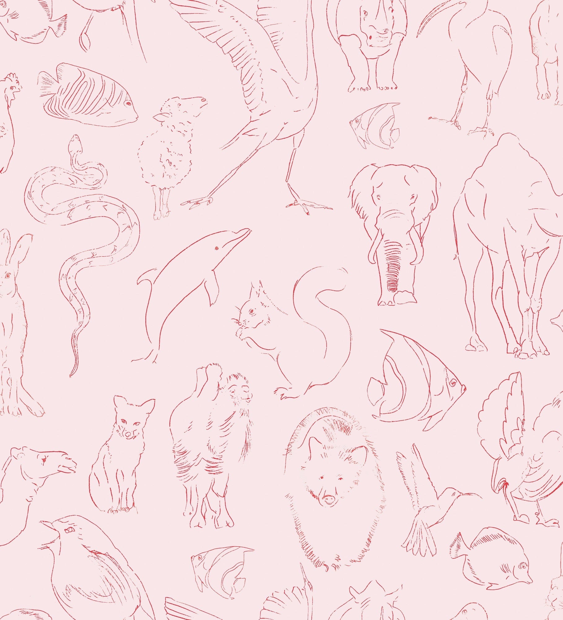 9700181 Zoology Candy Random Kids Wallpaper by Coordonné