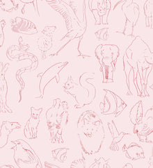 9700181 Zoology Candy Random Kids Wallpaper by Coordonné