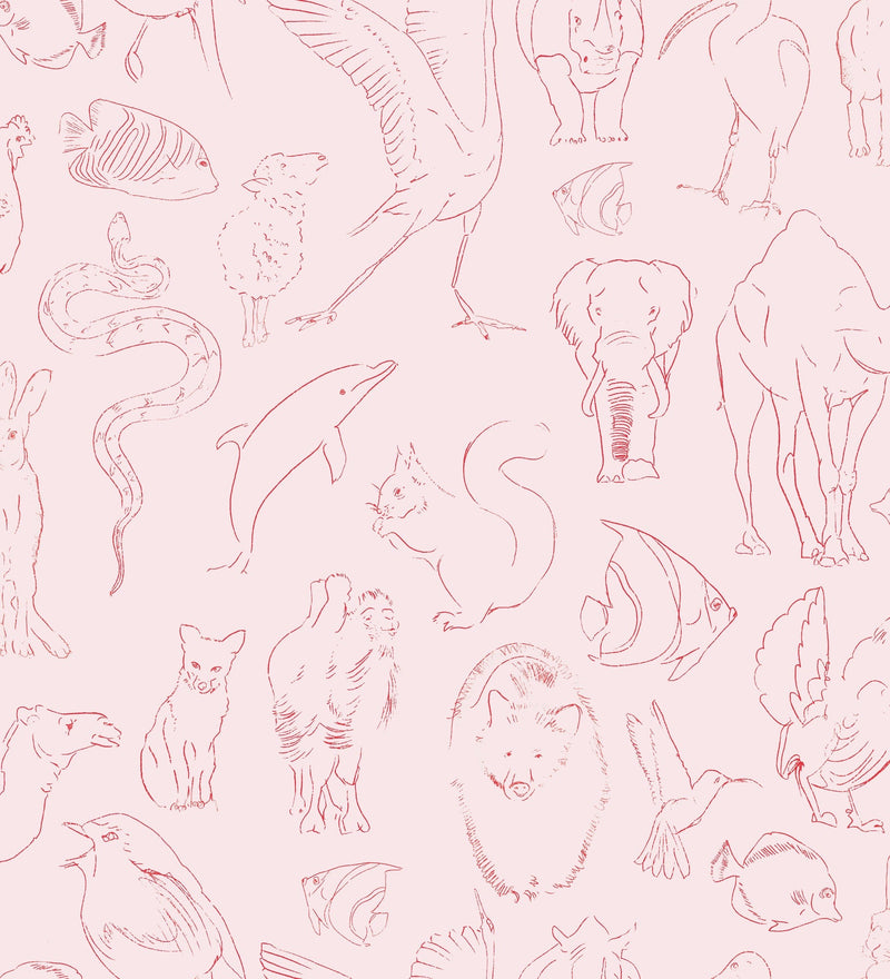9700181 Zoology Candy Random Kids Wallpaper by Coordonné