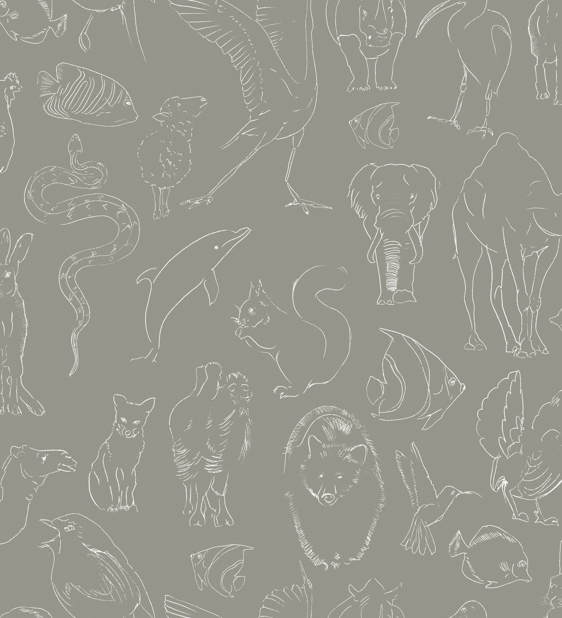 9700183 Zoology Stone Random Kids Wallpaper by Coordonné