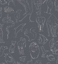 Zoology Chalk Random Kids Wallpaper by Coordonné