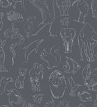 9700185 Zoology Chalk Random Kids Wallpaper by Coordonné