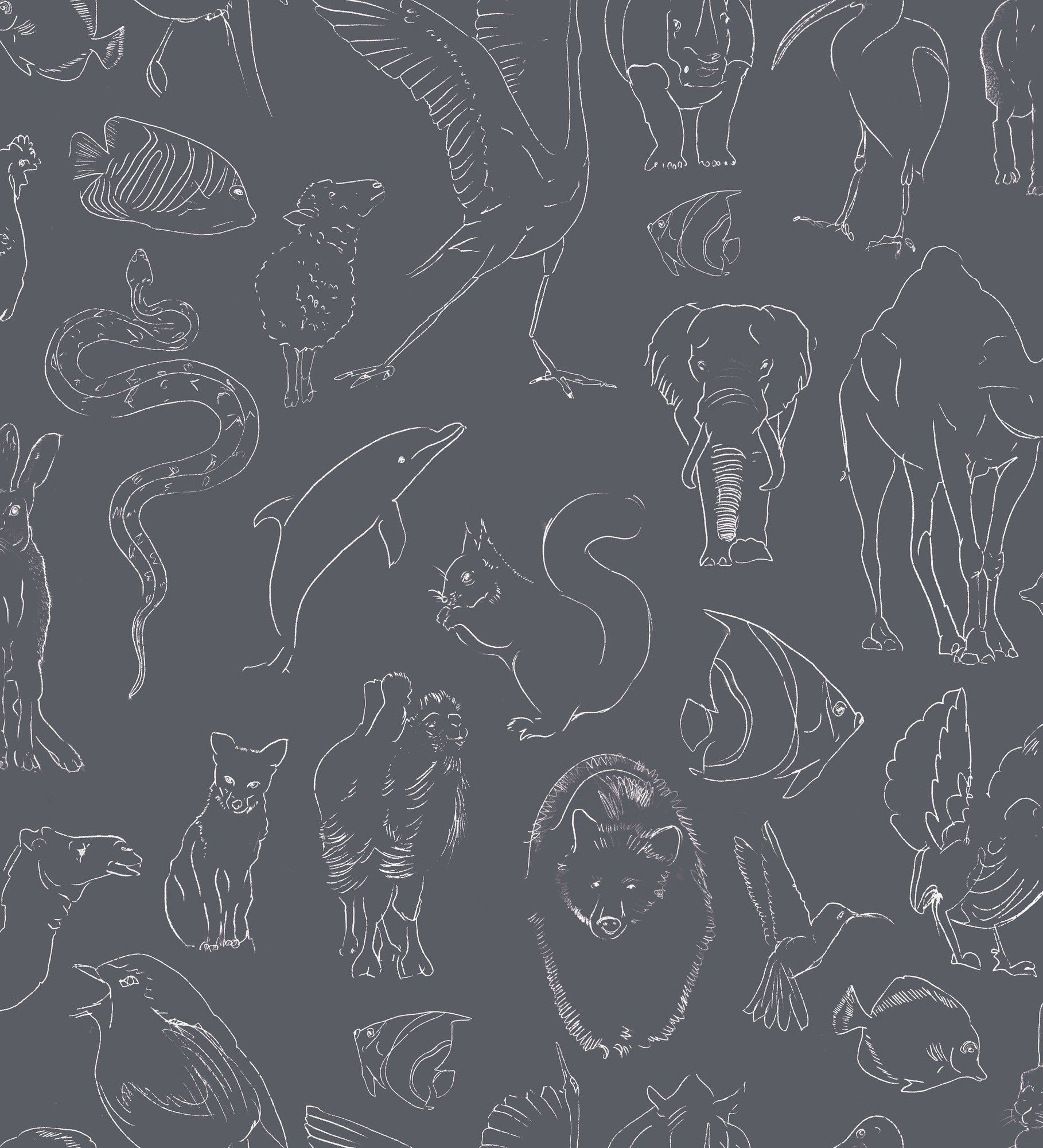 9700185 Zoology Chalk Random Kids Wallpaper by Coordonné