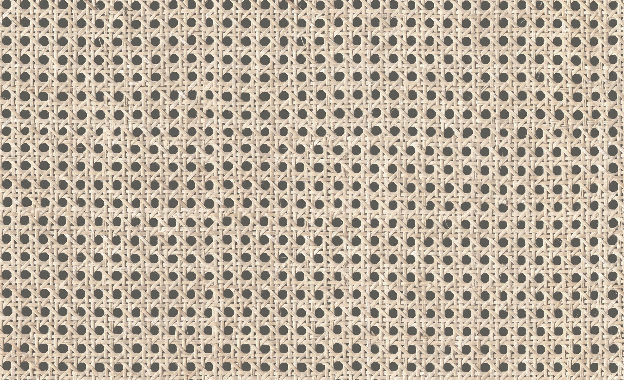 9800002 Design 2 Raffias+ Wallpaper by Coordonné