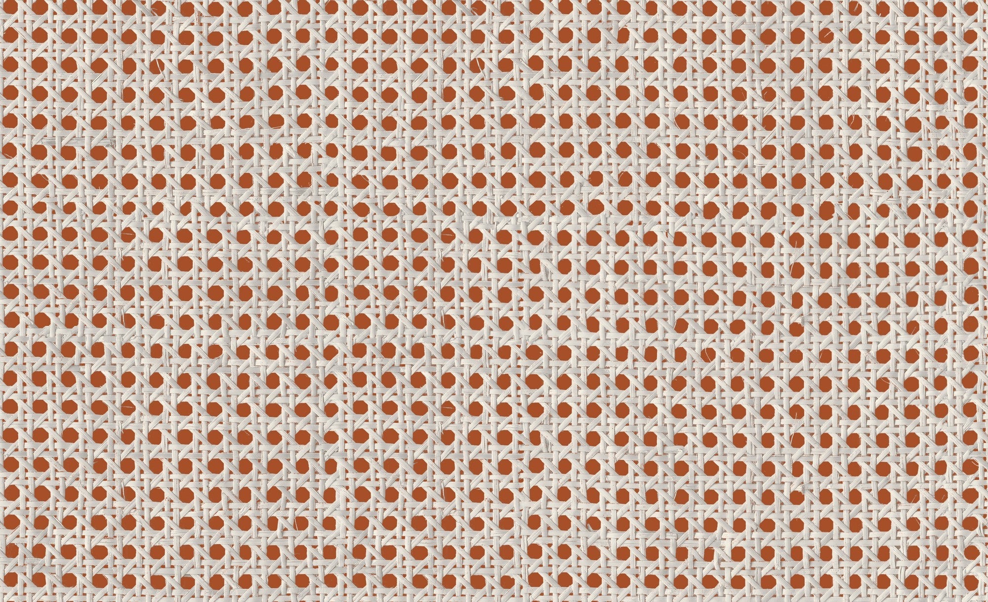 9800004 Design 4 Raffias+ Wallpaper by Coordonné