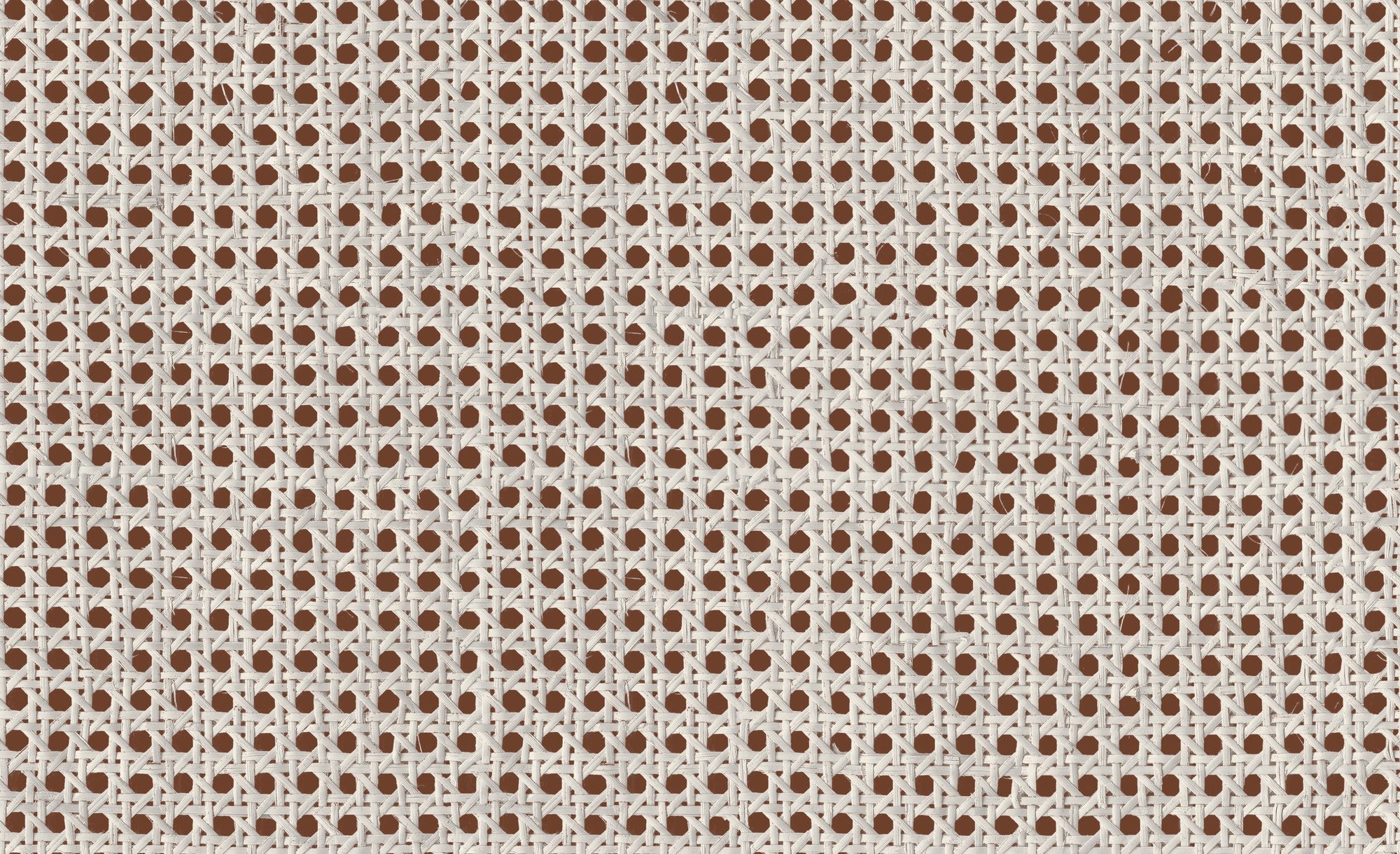 9800005 Design 5 Raffias+ Wallpaper by Coordonné