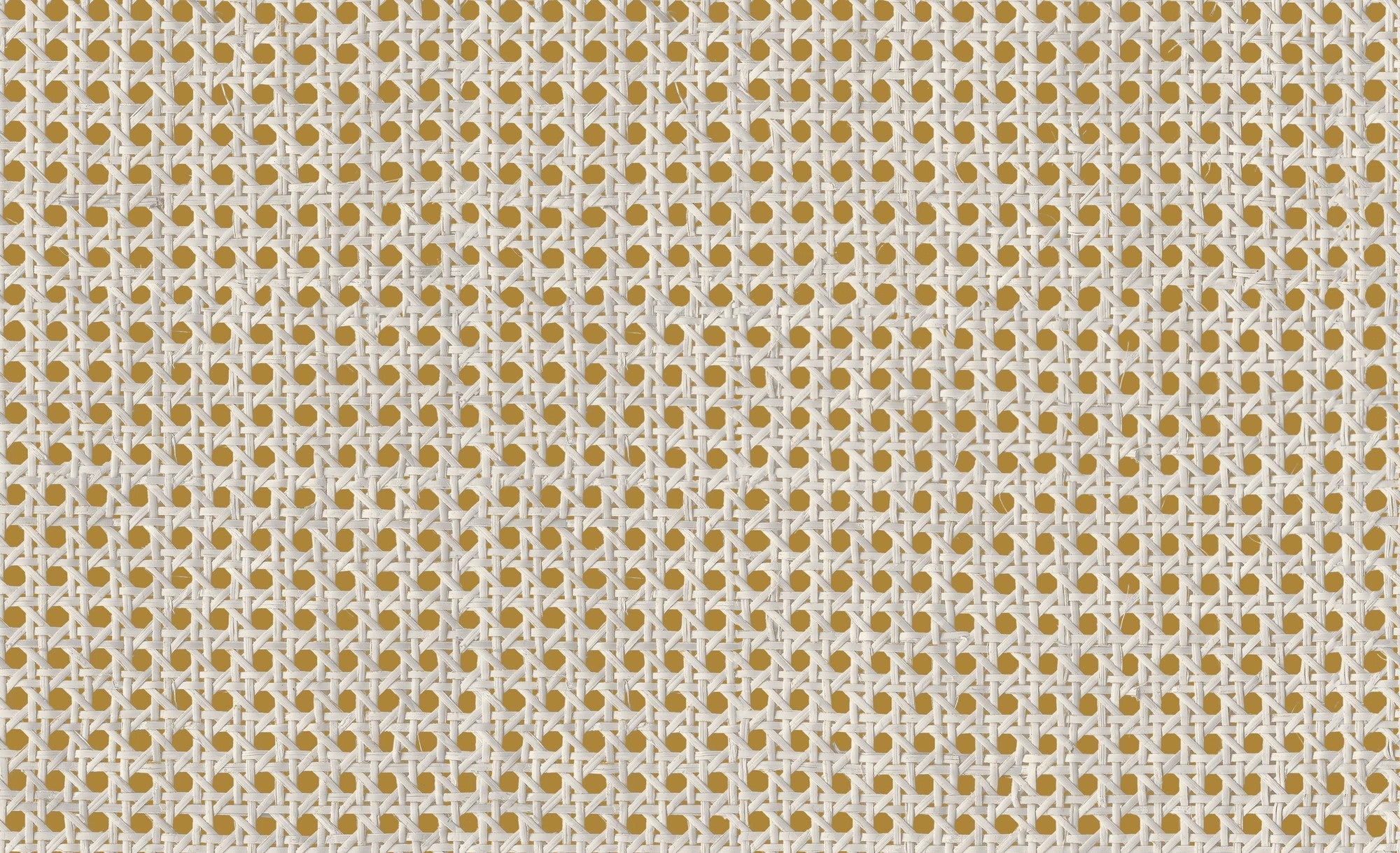 9800006 Design 6 Raffias+ Wallpaper by Coordonné