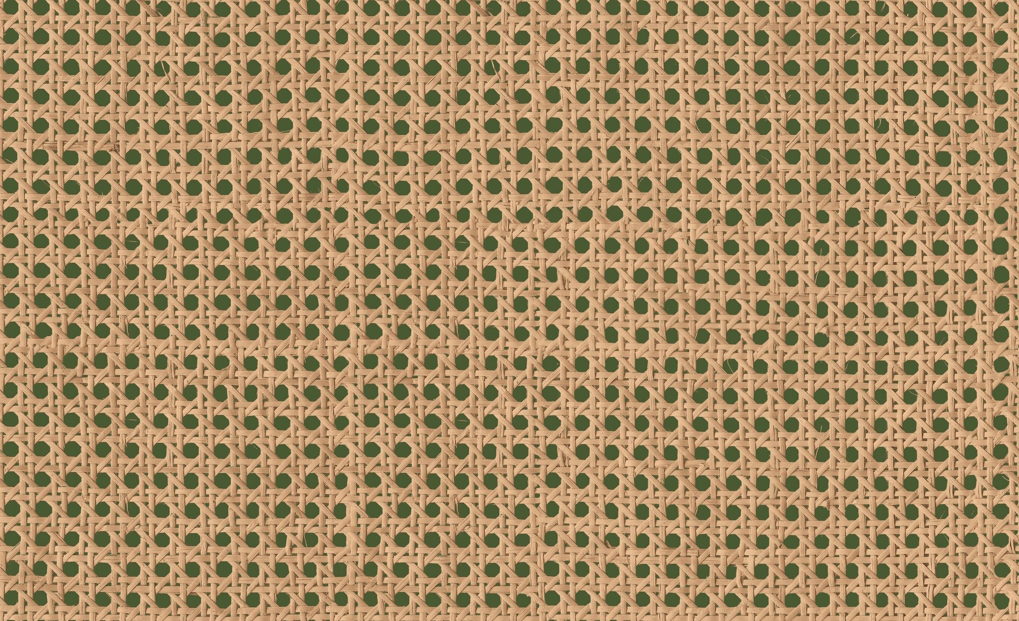 9800007 Design 7 Raffias+ Wallpaper by Coordonné