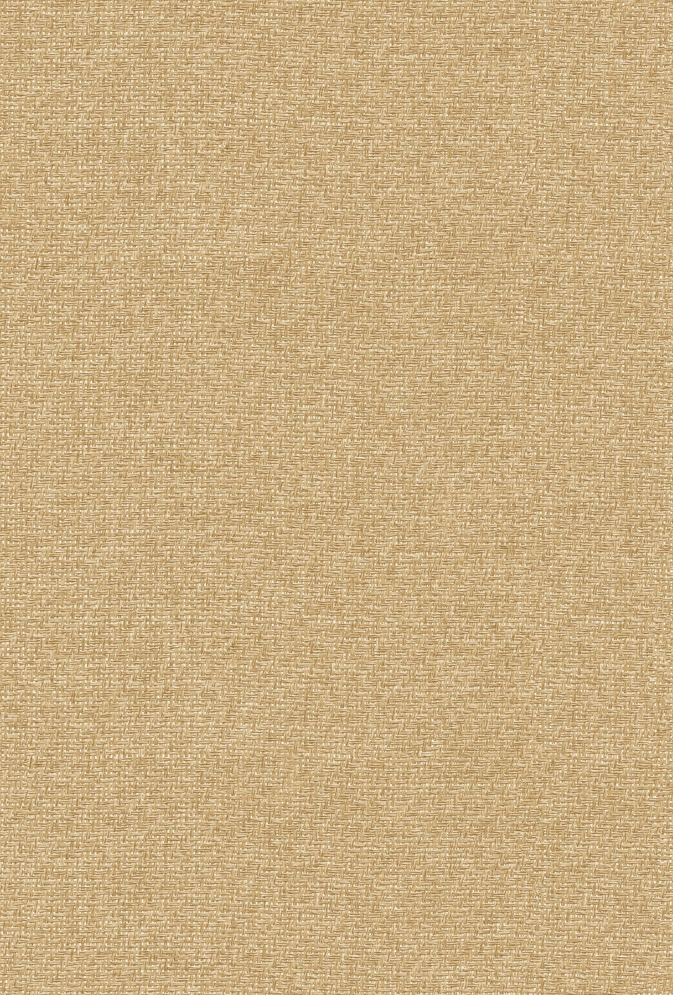 9800025 Design 25 Raffias+ Wallpaper by Coordonné