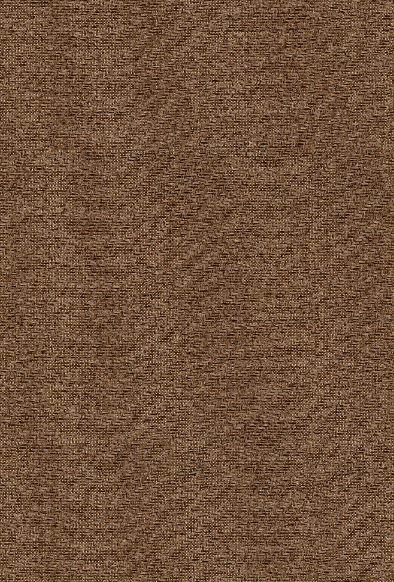 9800027 Design 27 Raffias+ Wallpaper by Coordonné