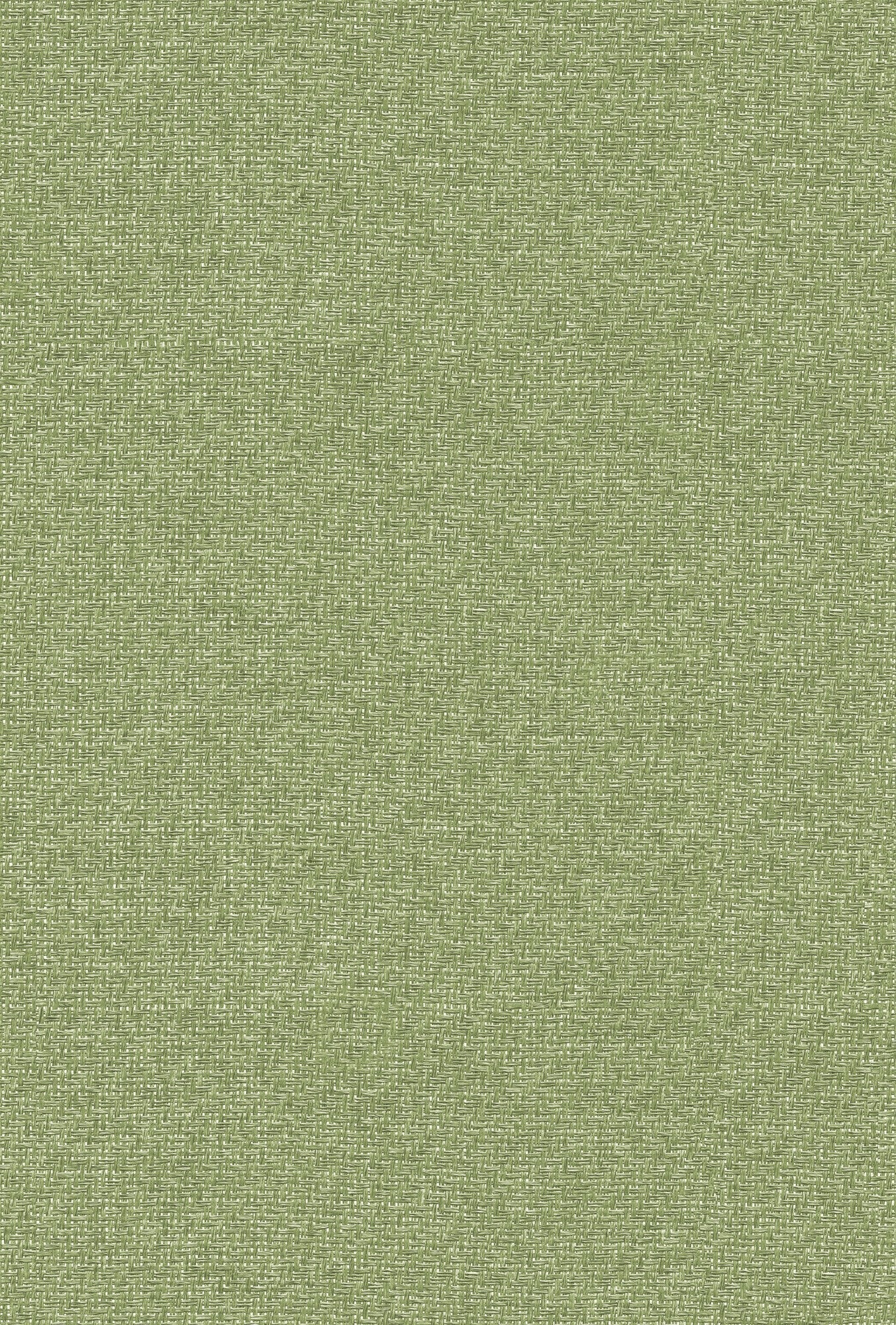 9800033 Design 33 Raffias+ Wallpaper by Coordonné