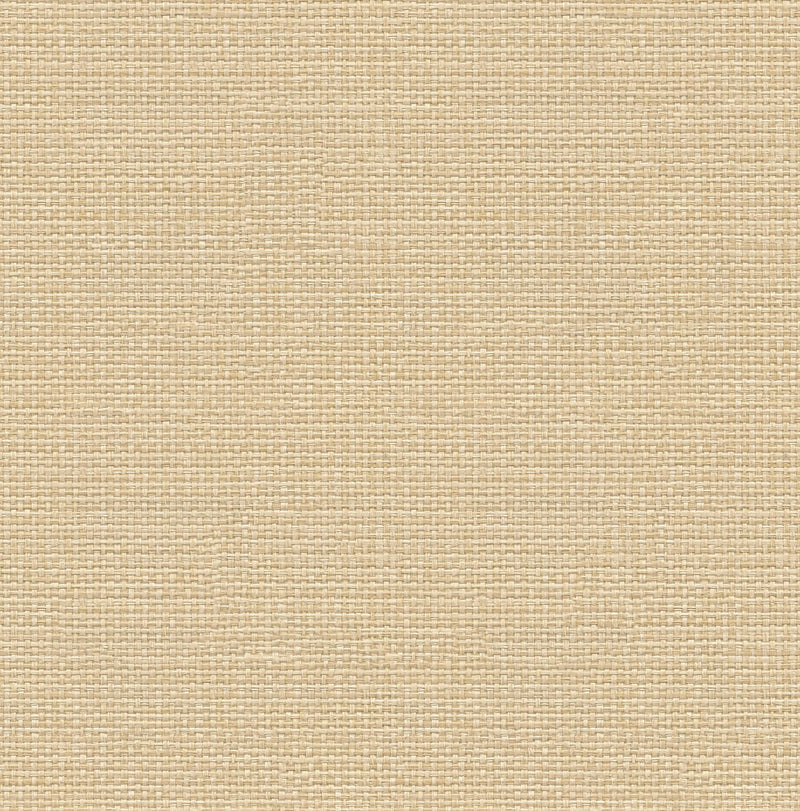 9800061 Design 61 Raffias+ Wallpaper by Coordonné