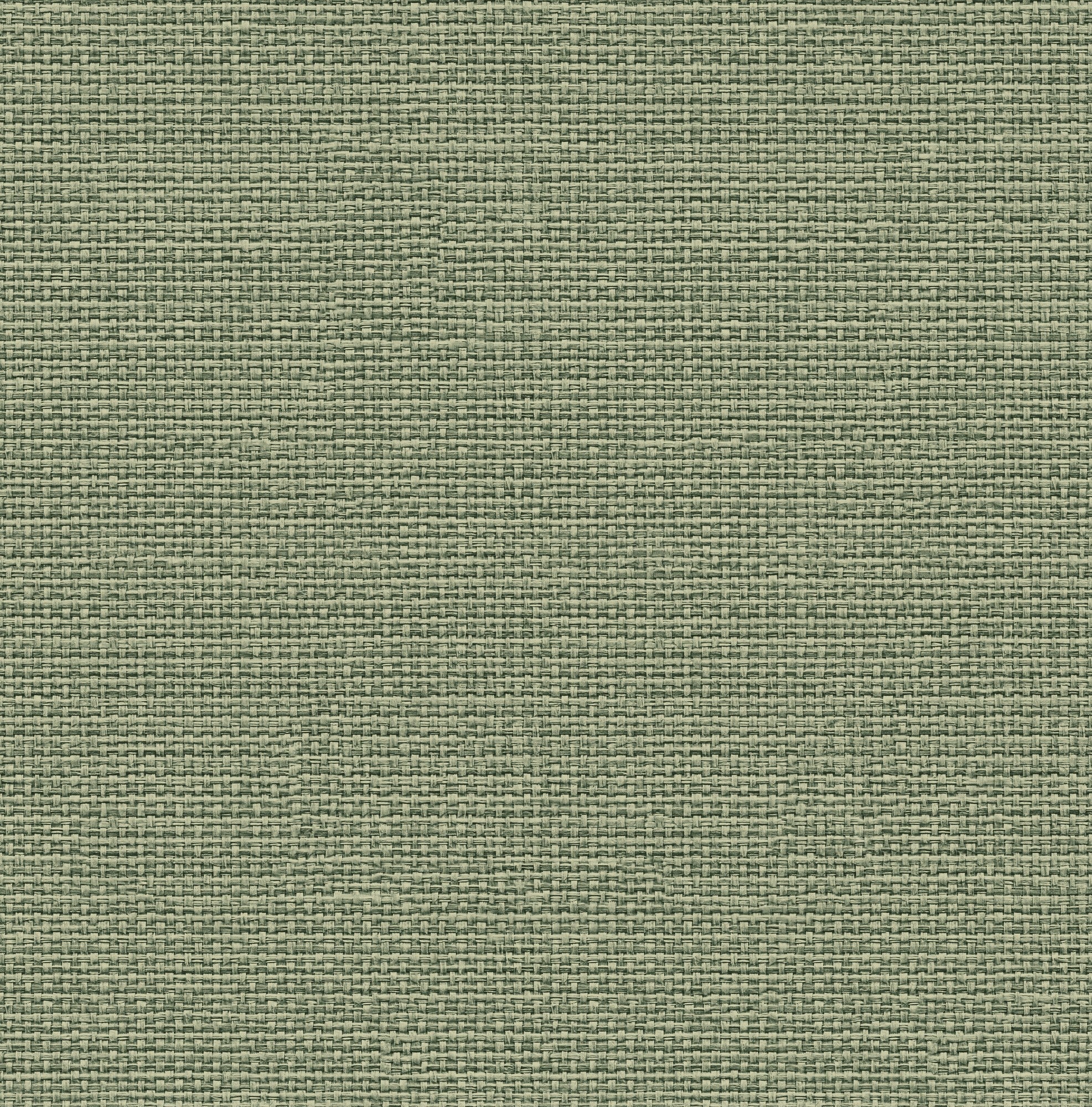 9800063 Design 63 Raffias+ Wallpaper by Coordonné