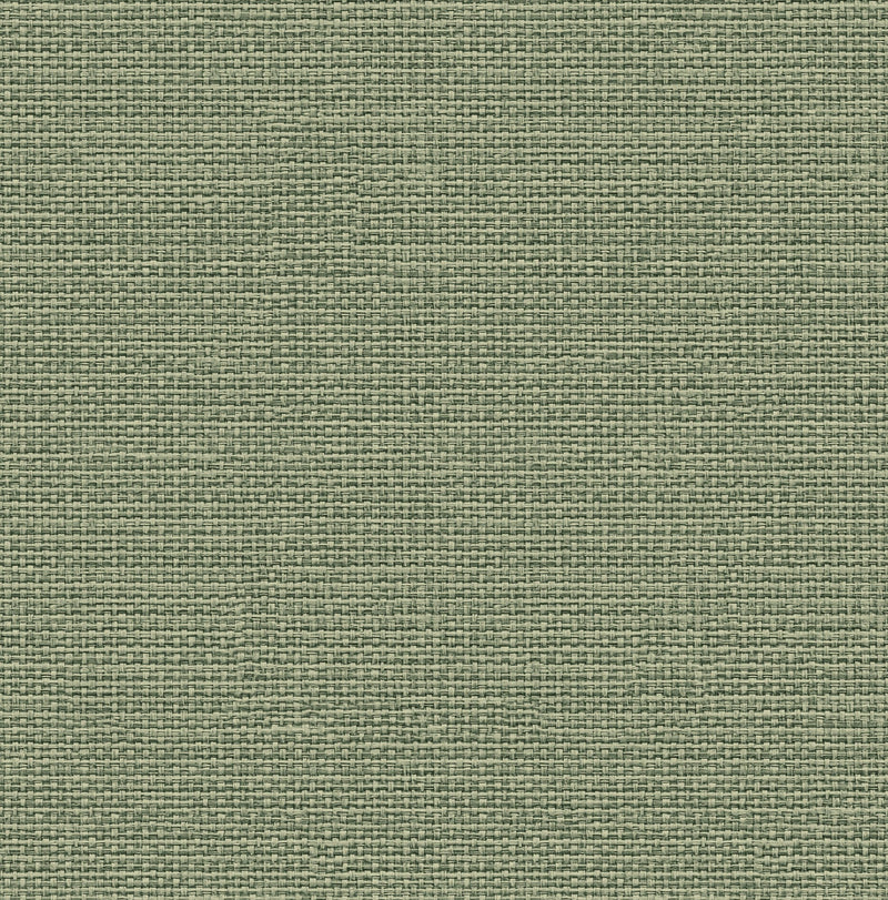 9800063 Design 63 Raffias+ Wallpaper by Coordonné