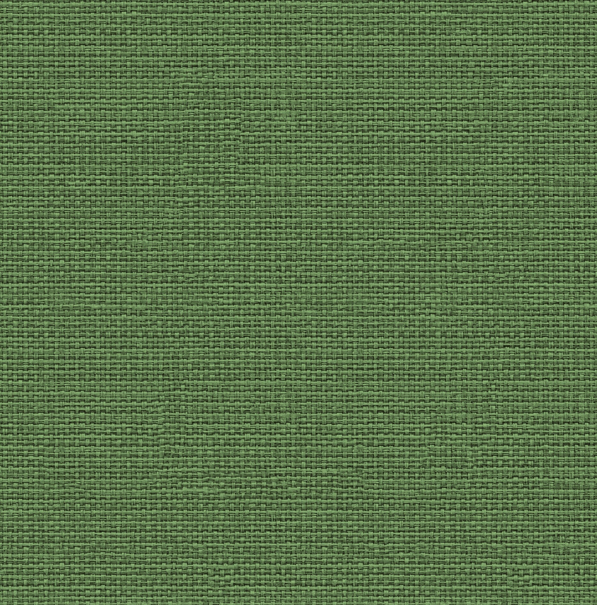 9800064 Design 64 Raffias+ Wallpaper by Coordonné