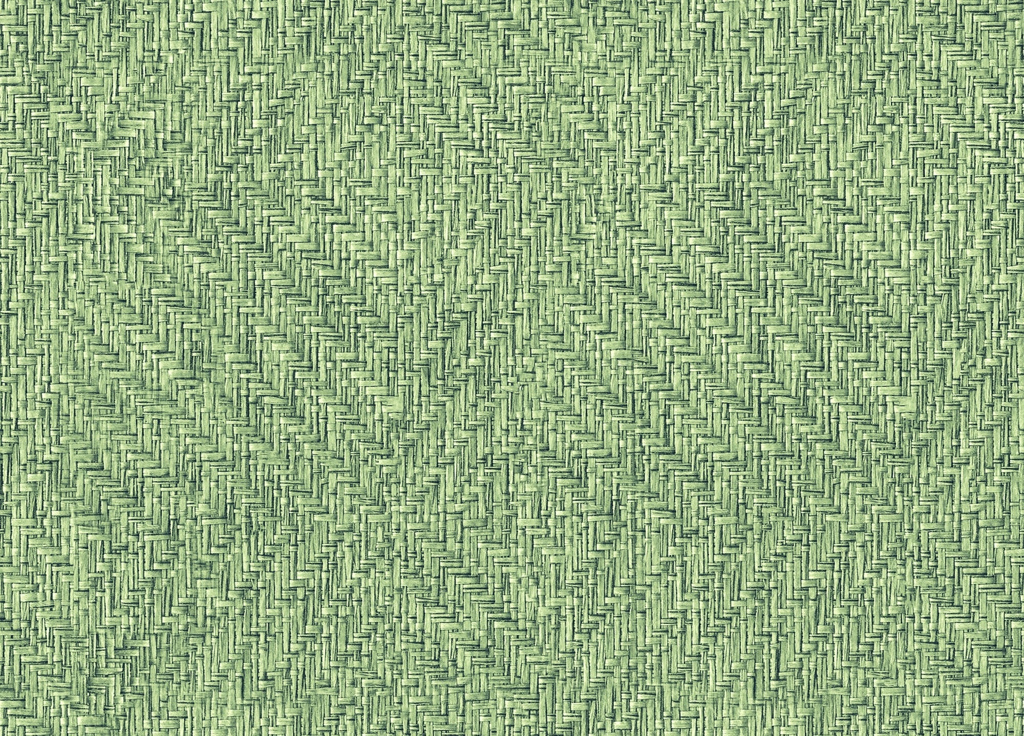 9800081 Design 81 Raffias+ Wallpaper by Coordonné