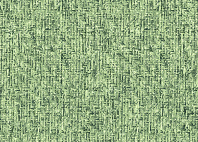 9800081 Design 81 Raffias+ Wallpaper by Coordonné