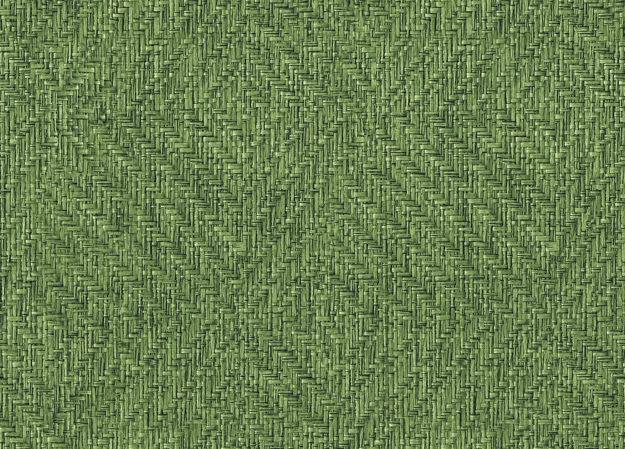 9800082 Design 82 Raffias+ Wallpaper by Coordonné