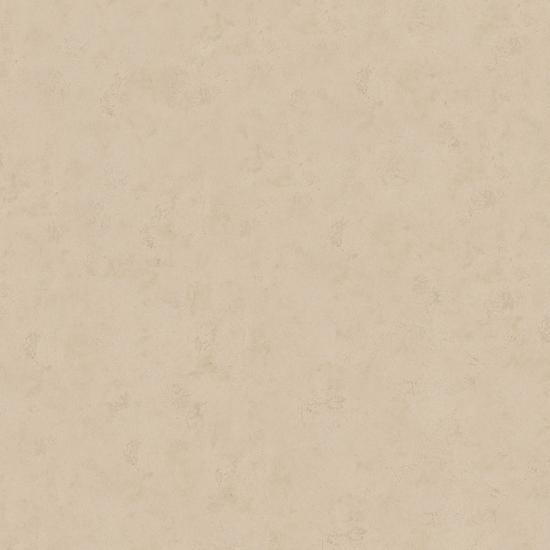 99129 Arid Earth Wallpaper By Galerie