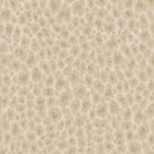 99531 Makucha Bead Cream Wallpaper by Holden Decor