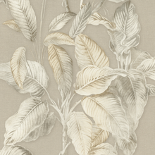 571455 Boho Palm Neutral Wallpaper by Rasch