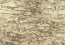 A00105 Sand Waves Metallics Gold Geo Mural by Coordonné