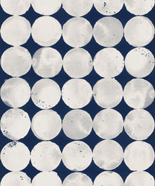 A00114 Lunar Craters Ice Geo Wallpaper by Coordonné