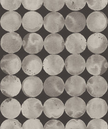 A00115 Lunar Craters Dune Geo Wallpaper by Coordonné