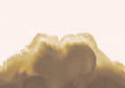 A00119 Coral Reefs Amber Geo Mural by Coordonné