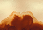 A00123 Coral Reefs Metallics Gold Geo Mural by Coordonné