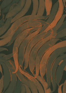 A00127 Crop Fossils Terracotta Geo Wallpaper by Coordonné