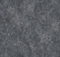 Rob Leaves Onyx Geo Wallpaper by Coordonné