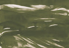 A00141 Marine Xray Silvester Geo Mural by Coordonné