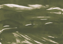 A00141 Marine Xray Silvester Geo Mural by Coordonné