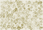 A00152 Cellular Patterns Silvester Geo Mural by Coordonné