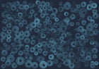 A00154 Cellular Patterns Sapphire Geo Mural by Coordonné